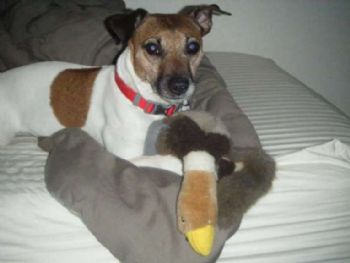 Dana.M.C profile photo