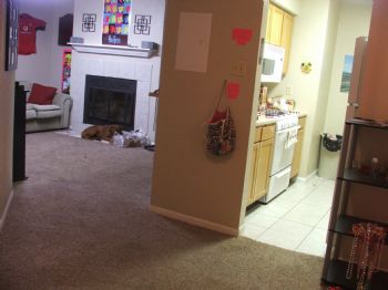 NYAggie22k profile photo