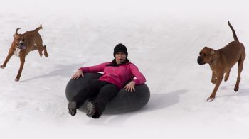 andifetz profile photo