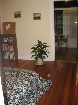 NHLSHN profile photo