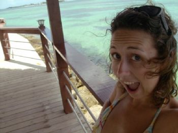 CraftyMoose profile photo