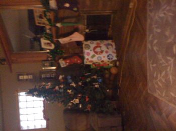 janiebb profile photo