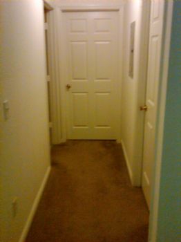 kelly08 profile photo