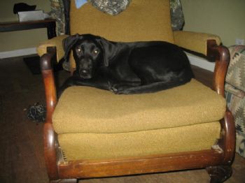 Cherokee13 profile photo