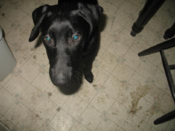 Cherokee13 profile photo