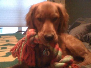 ccarl12 profile photo