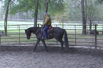 jose1950 profile photo