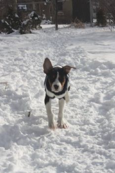 Vetesse profile photo