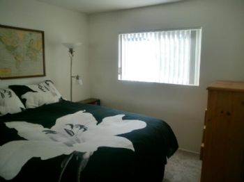 annapbroomie profile photo