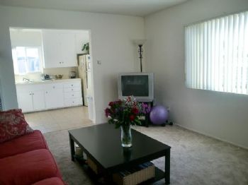 annapbroomie profile photo