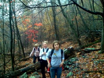 Mlogar profile photo