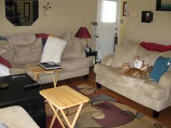 kprybylo profile photo