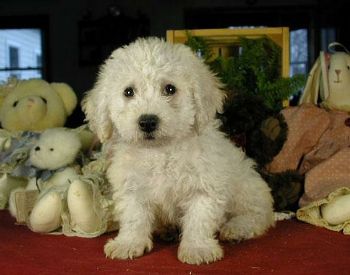 Katiebuggg81 profile photo