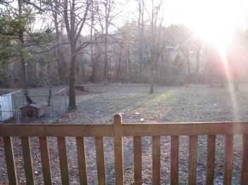 ramz11 profile photo