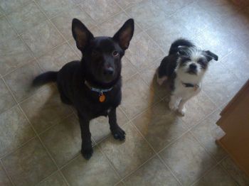 brandon843 profile photo