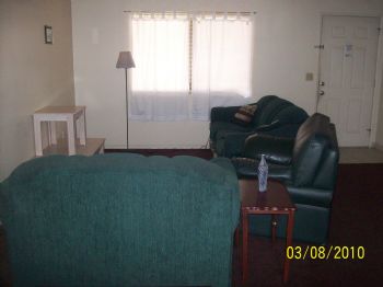 PENGUIN1980 profile photo