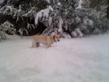 BSchlabach79 profile photo