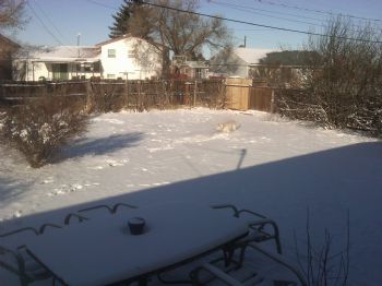 BSchlabach79 profile photo