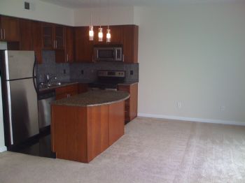 tloftsga profile photo