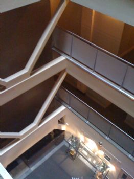 tloftsga profile photo