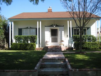 newbunny profile photo