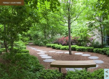 catet33 profile photo