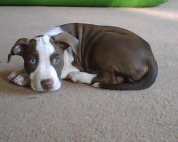 unholyroach profile photo