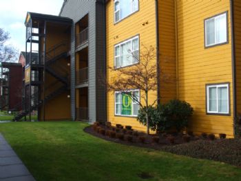 nisha394 profile photo