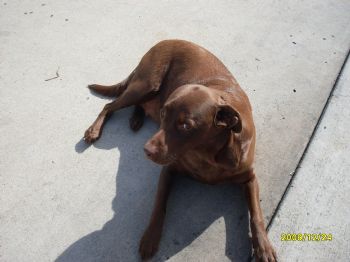 ashlite1 profile photo