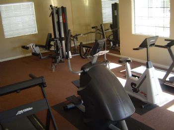 jet_driver profile photo