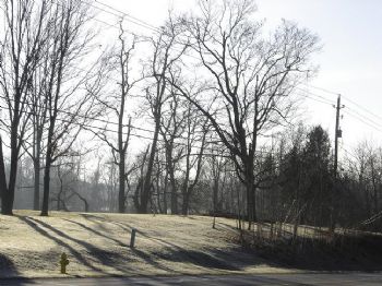 grad_5 profile photo