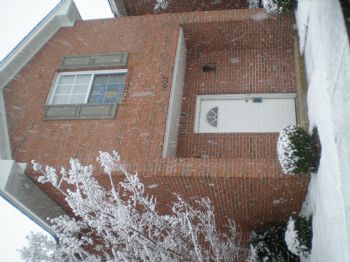 kns0007 profile photo