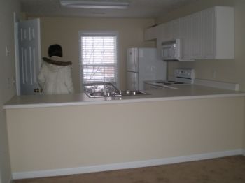 kns0007 profile photo