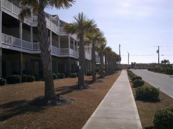 campiscj profile photo