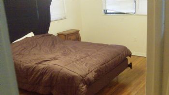 polie8080 profile photo