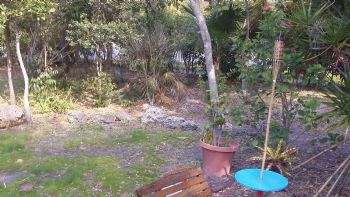 polie8080 profile photo