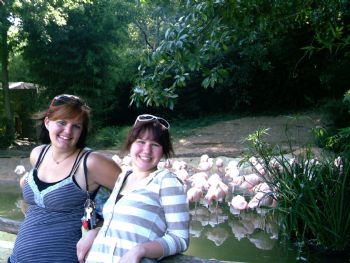 Yoshi_Maki profile photo