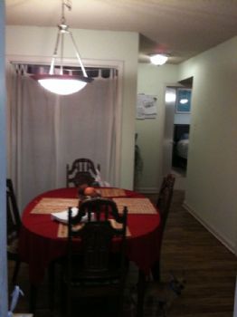 pridepuppy21 profile photo