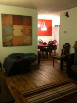 pridepuppy21 profile photo