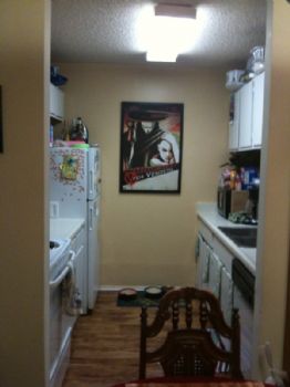 pridepuppy21 profile photo