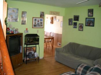 plencner profile photo