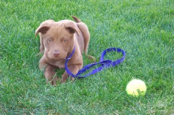 Irma98 profile photo