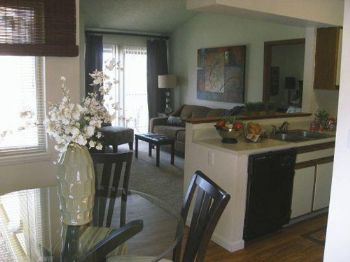 ajp13247 profile photo