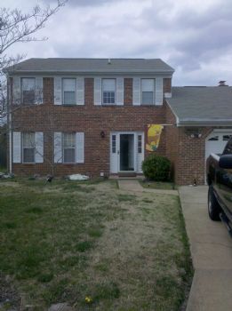 brandonmatt profile photo