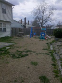 brandonmatt profile photo