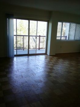 sl06572 profile photo