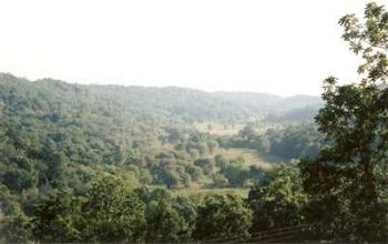 ecad11 profile photo