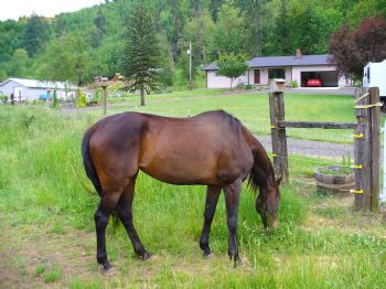 countryboy1 profile photo