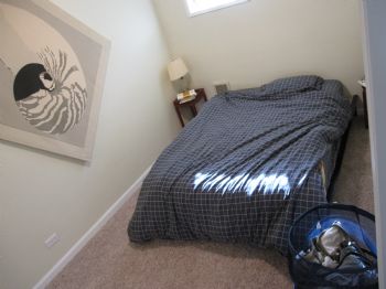 gpalsbo profile photo