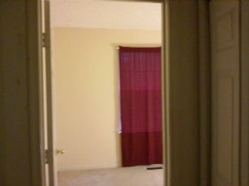 thegem profile photo